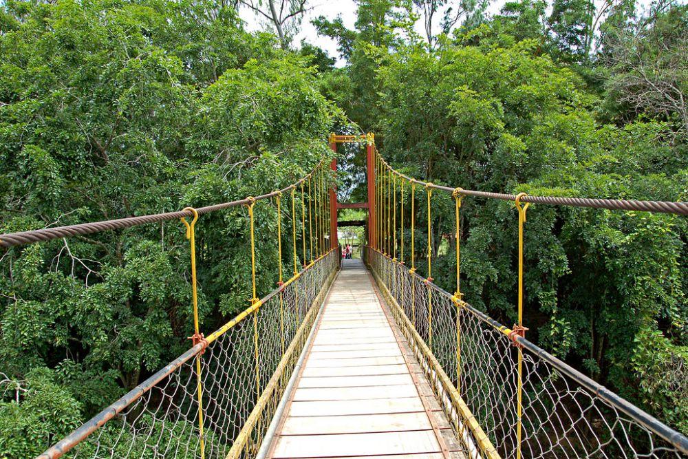 madikeri tour guide